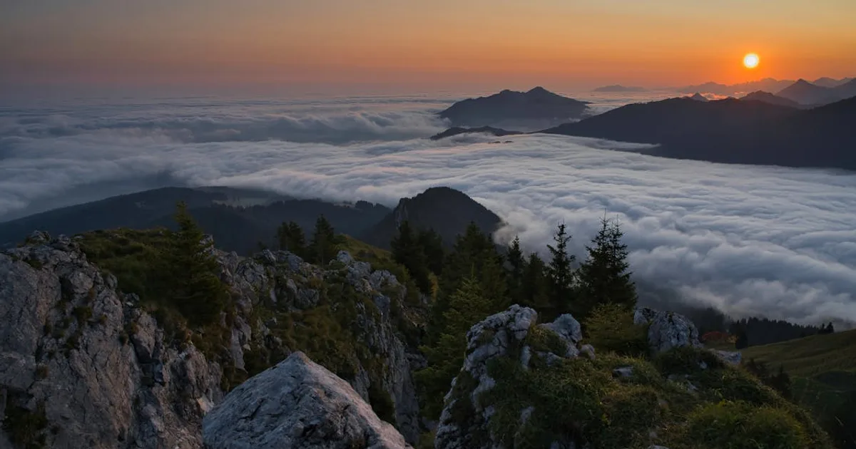 阿里山國家森林遊樂區